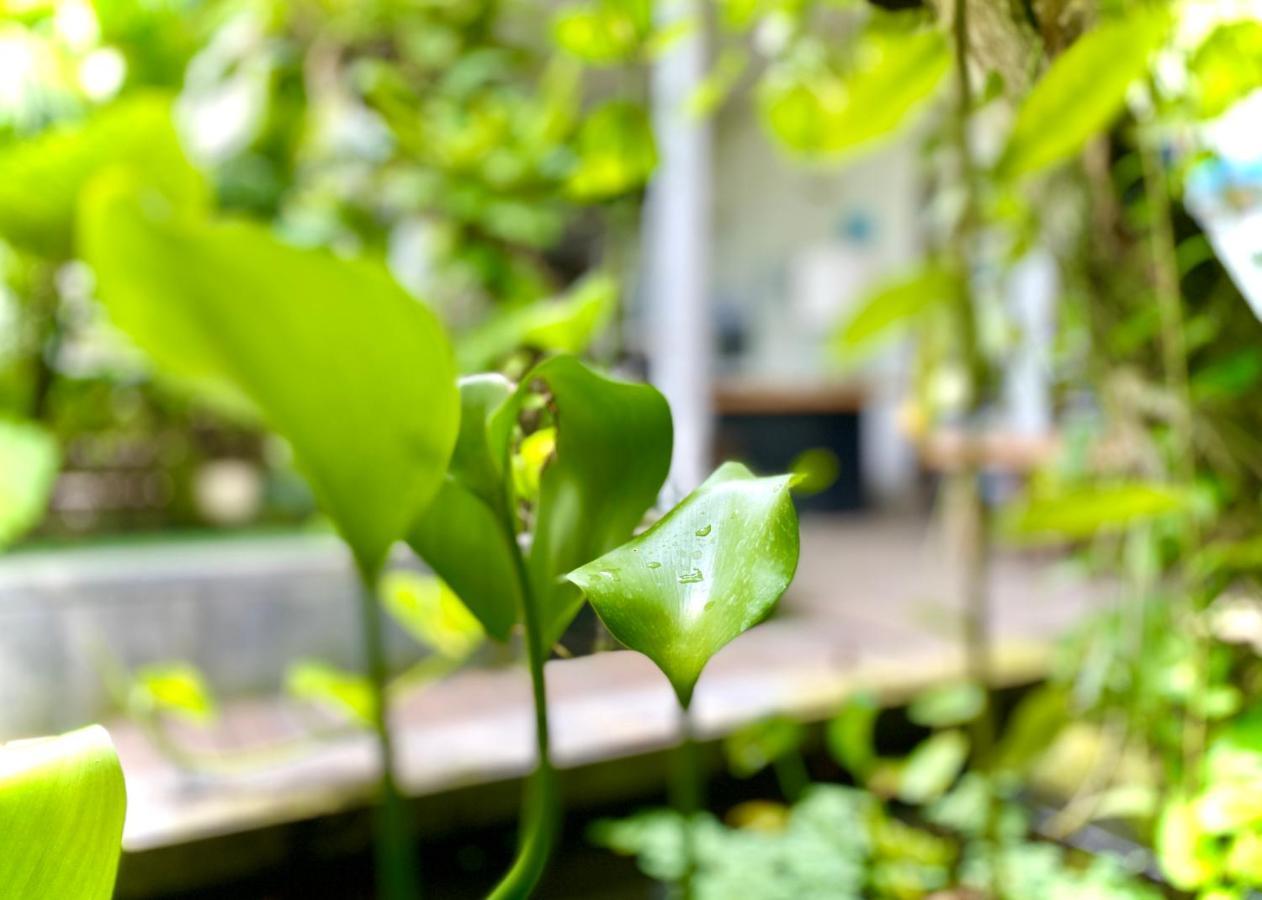 The Hide Hostel At Canggu (Adults Only) エクステリア 写真